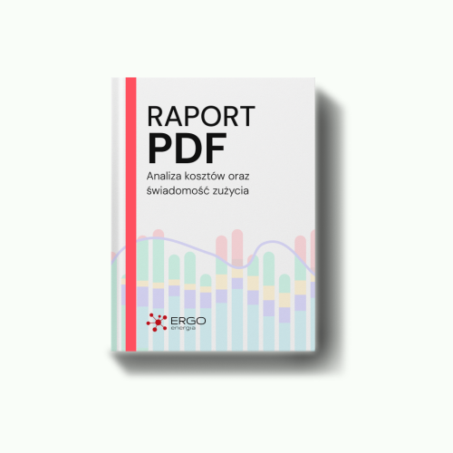 raport pdf.png